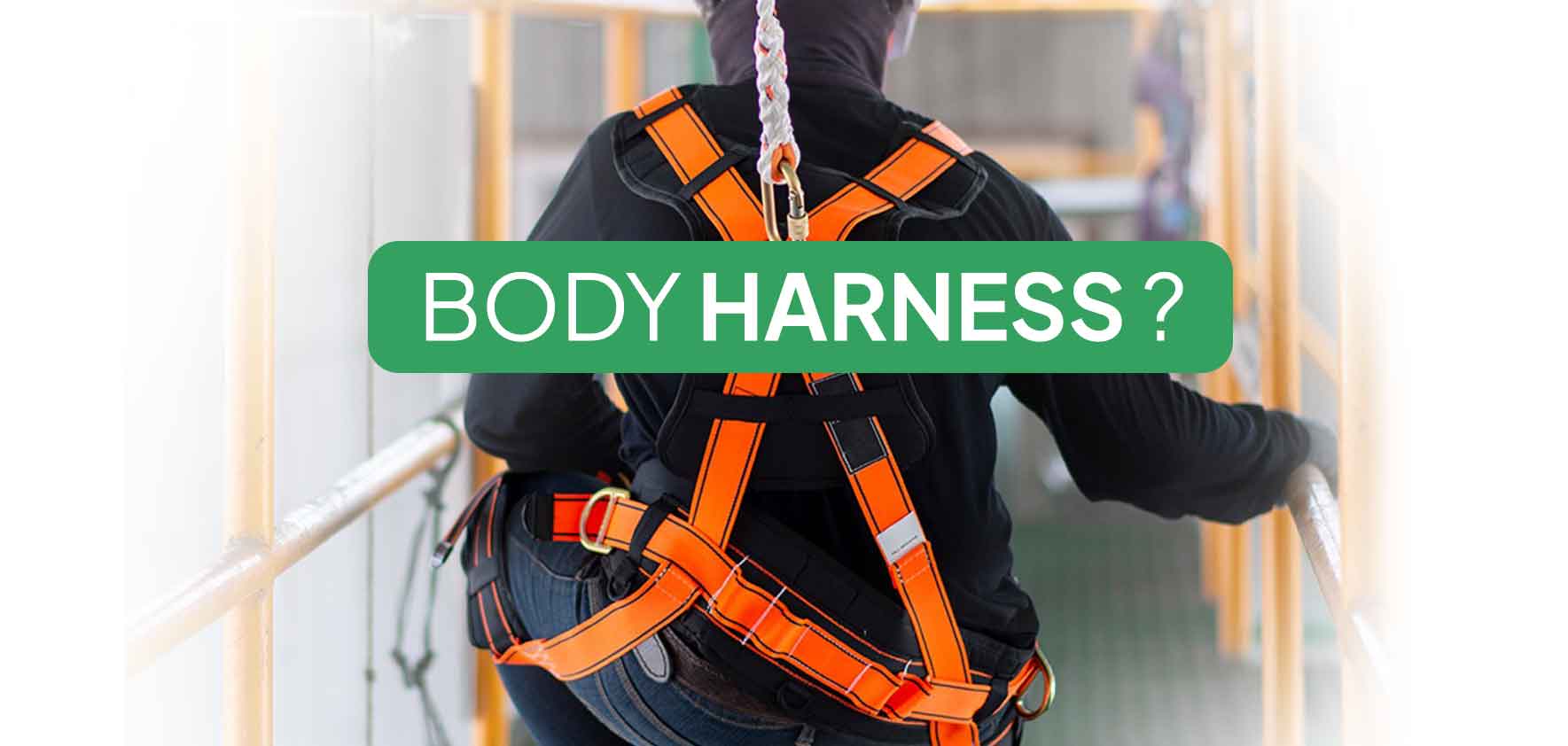 Body Harness