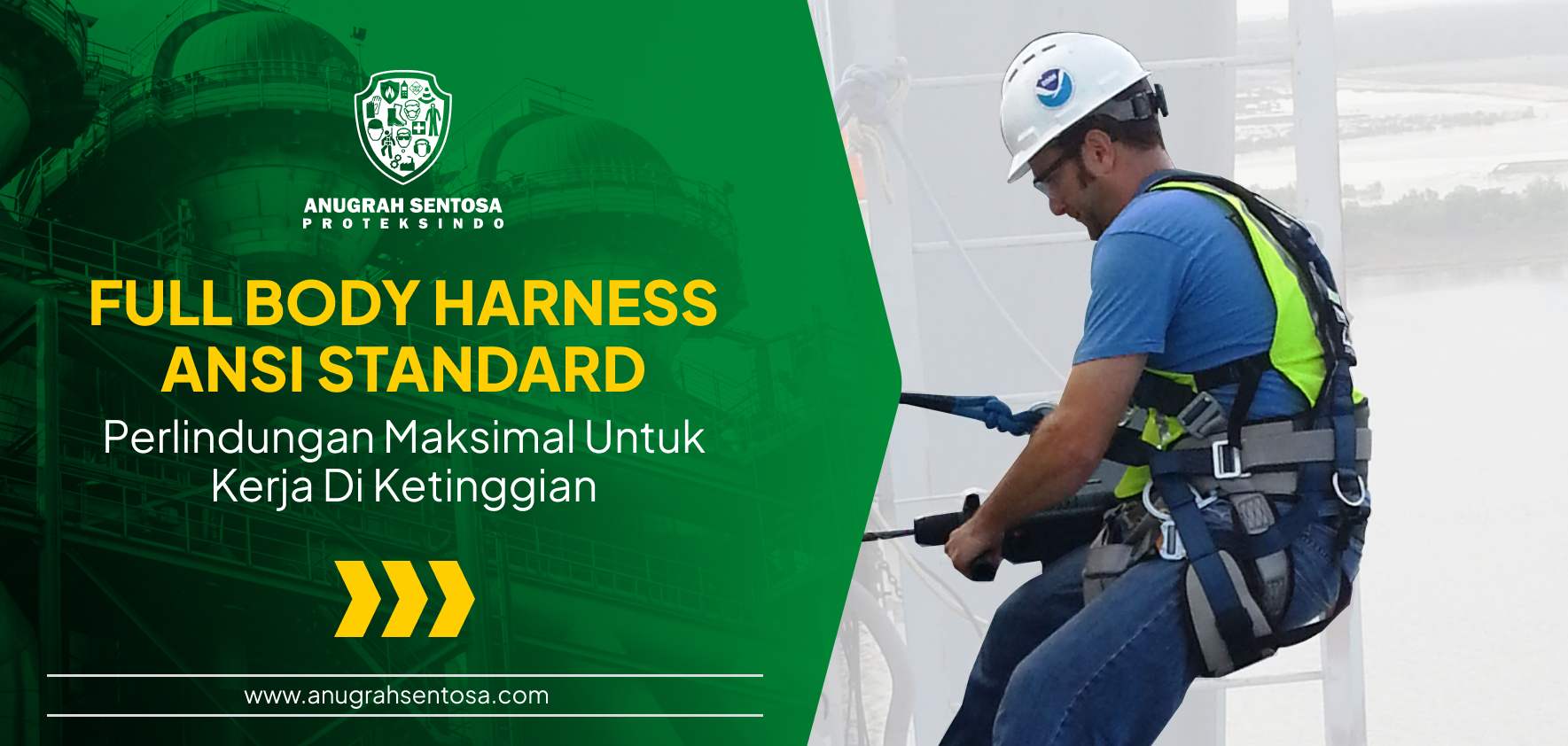 Full Body Harness ANSI Standard