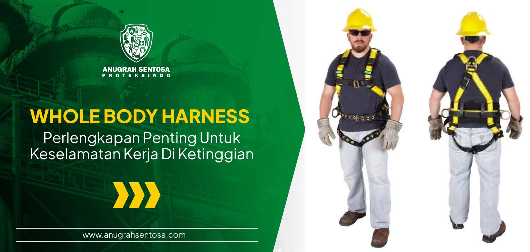 Whole Body Harness