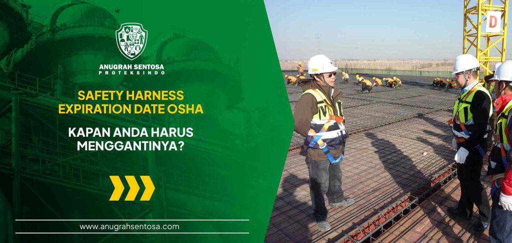 safety harness expiration date osha