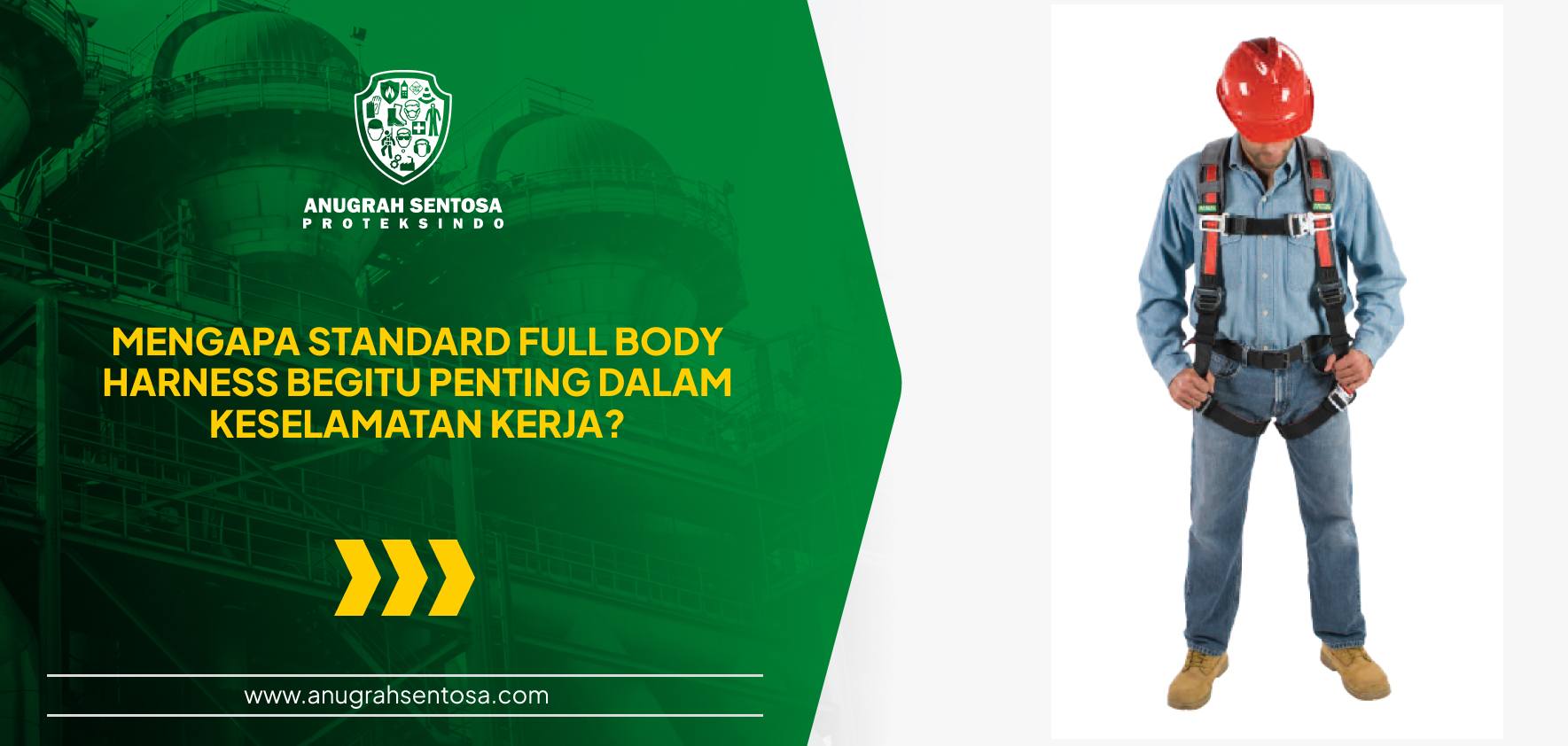 standard full body harness